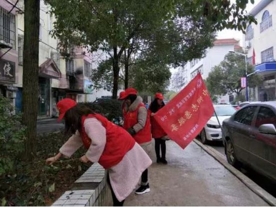城乡环境综合整治百日攻坚“净化”行动-巾帼志愿者在行动