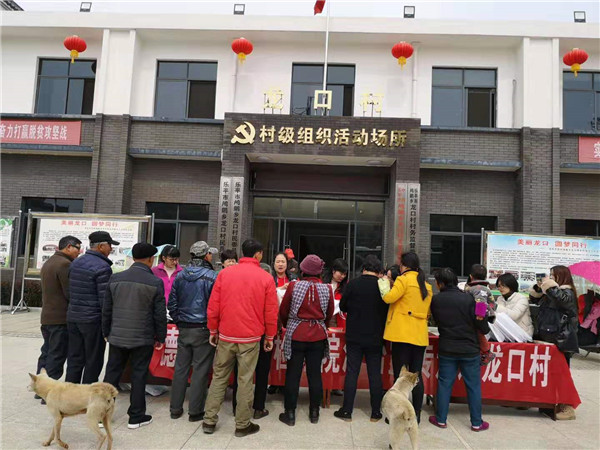 全市三八妇女节活动精彩纷呈，巾帼女性展风采！