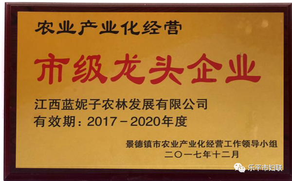 小小蓝莓果铺就产业扶贫路——江西蓝妮子农林发展有限公司女创业带头人王彩霞纪实