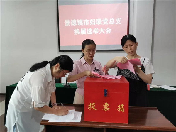 市妇联党总支开展换届选举工作