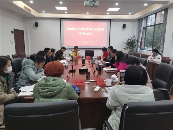 景德镇市妇儿工委召开反家庭暴力及女童保护专项协商会