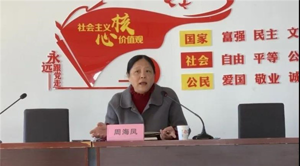 “建法治瓷都，巾帼在行动” 国际反家暴日宣传活动走进珠山区竟成镇