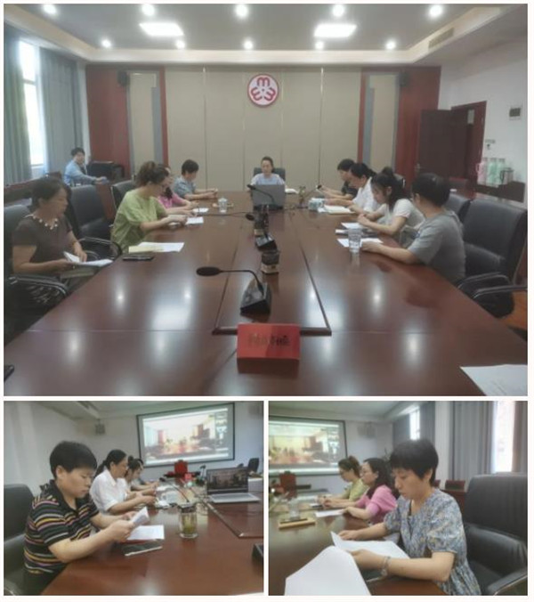 市妇联召开“做在平常抓在经常落到基层”信访维权工作服务部署暨培训视频会