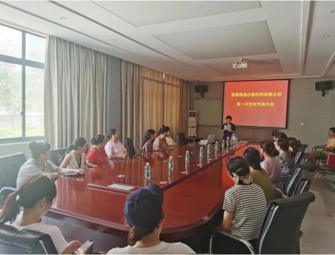 ​昌南新区又一个“两新”组织成立妇委会