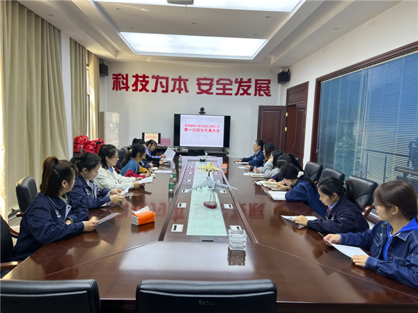 浮梁县湘湖镇一批“两新”组织成立妇联组织