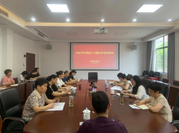 景德镇市妇联召开党组（扩大）会议传达学习贯彻党的二十届三中全会精神