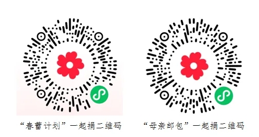 景德镇市妇联邀您为爱接力，“益”起行动！